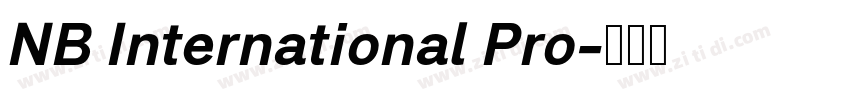 NB International Pro字体转换